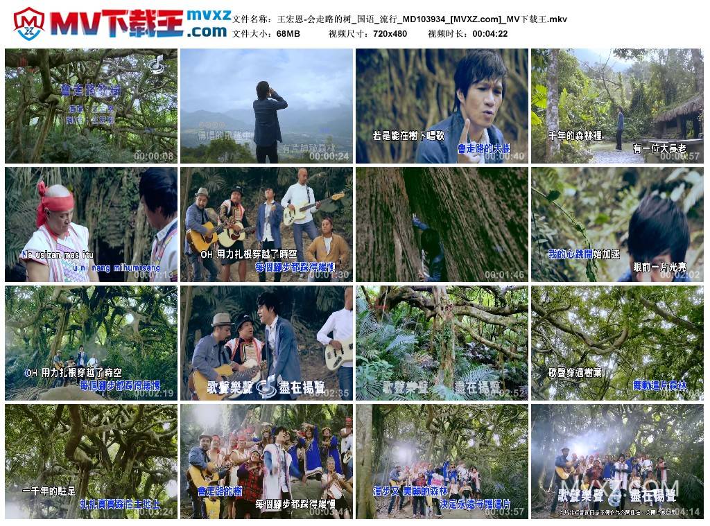 王宏恩-会走路的树_国语_流行_MD103934